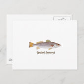 Spotted Seatrout (titel) Briefkaart (Voorkant / Achterkant)