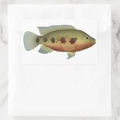 Spotted Tilapia Rechthoekige Sticker (Tas)