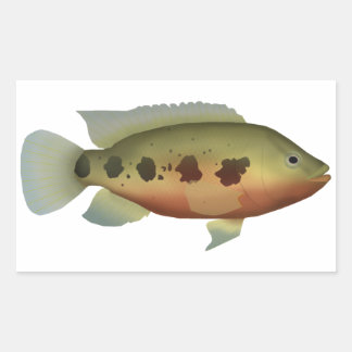 Spotted Tilapia Rechthoekige Sticker