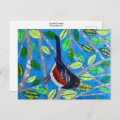 Spotted Towee Briefkaart (Voorkant / Achterkant)