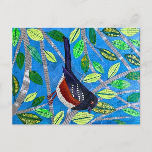 Spotted Towee Briefkaart (Voorkant)