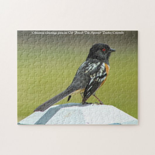 Spotted Towee Colorado. kerstcadeautjes Legpuzzel (Horizontaal)