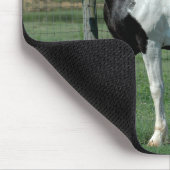 Spotted Walker Muismat (Hoek)