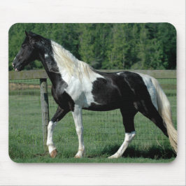 Spotted Walker Muismat