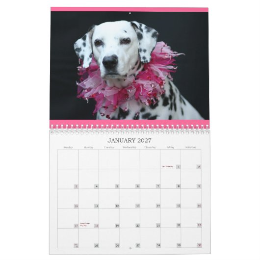 Spotted Wonders Kalender (Jan 2027)