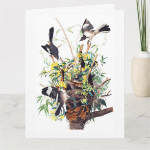 Spotvogels Print van Audubon Kaart