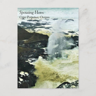 Spouting Horn, Cape Perpetua, Oregon Coast Postcar Briefkaart