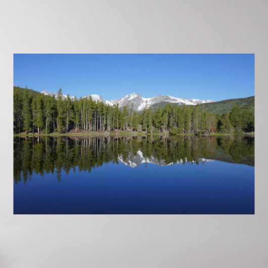 Sprague Lake Reflectie Poster (Voorkant)