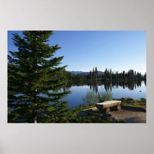 Sprague Lake Uitzicht Poster
