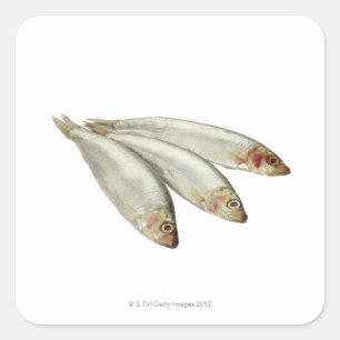 Sprats Vierkante Sticker