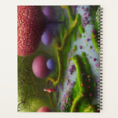 Sprawling Garden (Dos)