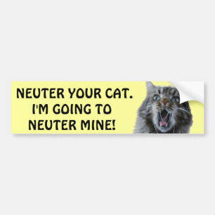Spray en Neuter je kat. Geschokt Kat Bumpersticker
