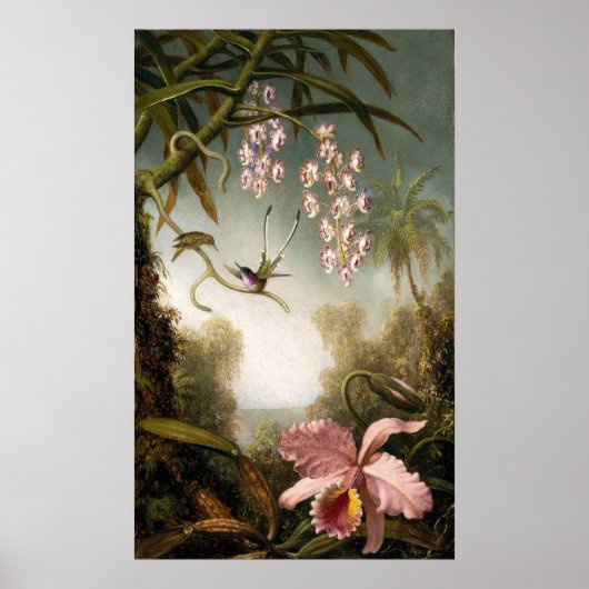 Spray Orchids met Hummingbird Poster (Voorkant)