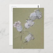 Spray van Canterbury Bells Briefkaart (Voorkant / Achterkant)