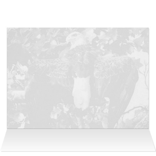 Spread Eagle (Binnen Horizontaal (Boven))