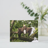 Spread Eagle Briefkaart (Staand voorkant)