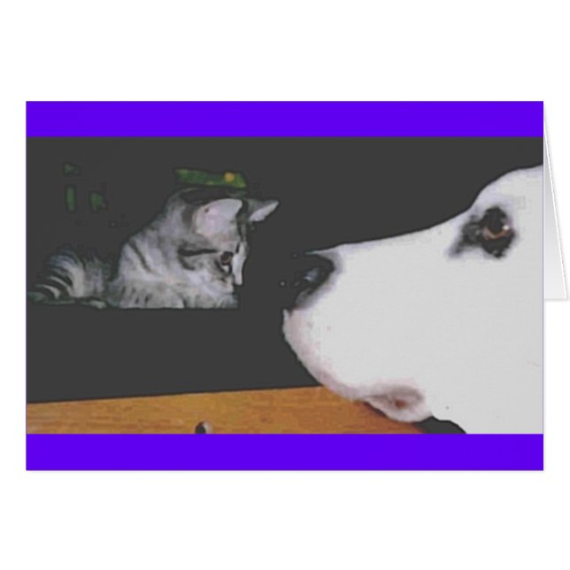 Spree&Kichou (Voorkant Horizontaal)