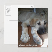 Spreek aan de poot briefkaart (Voorkant / Achterkant)