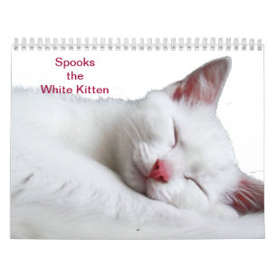 SPREEKT DE WITTE KITTEN - CALLENDER KALENDER