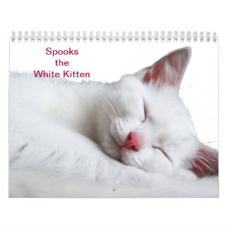 SPREEKT DE WITTE KITTEN - CALLENDER KALENDER