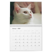 SPREEKT DE WITTE KITTEN - CALLENDER KALENDER (Jan 2027)