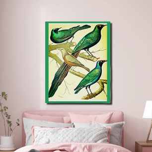 spreeuwen en mynaikvogels perfect poster
