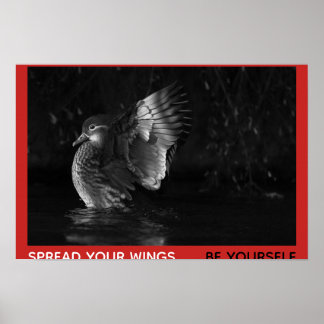 Spreid je vleugels wees jezelf mandarijneend foto poster