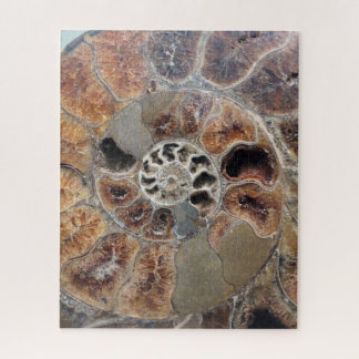 Sprial Shell Fossil Legpuzzel