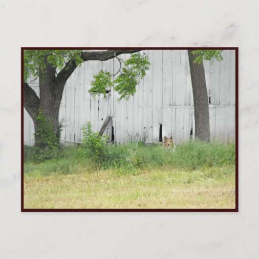 ~ Spring 36 ~ Briefkaart (Voorkant)