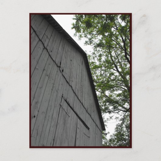 ~ Spring 43 ~ Briefkaart (Voorkant)