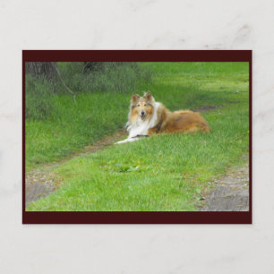 ~ Spring 46 ~ Briefkaart