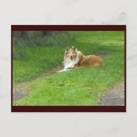 ~ Spring 46 ~ Briefkaart (Voorkant)