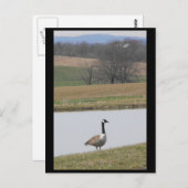 ~ Spring 65 ~ Briefkaart (Voorkant / Achterkant)