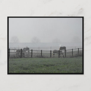 ~ Spring 79 ~ Briefkaart