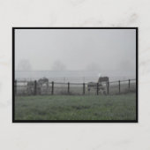 ~ Spring 79 ~ Briefkaart (Voorkant)