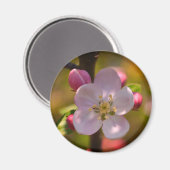 Spring Apple Blossom Magneet (Voorkant / Achterkant)