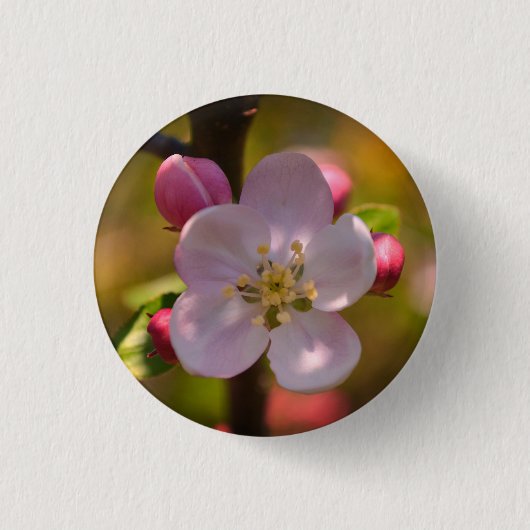 Spring Apple Blossom Ronde Button 3,2 Cm (Voorkant)