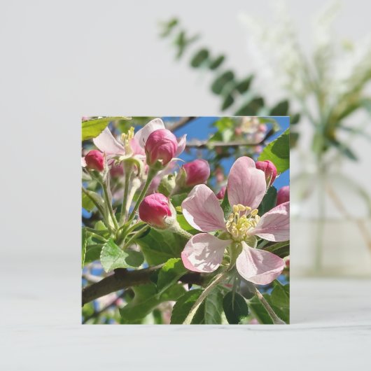 Spring Apple Blossoms (Staand voorkant)