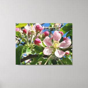 Spring Apple Blossoms Canvas Afdruk