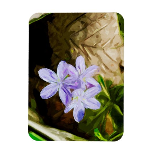 Spring Beauty a Wildflower Abstract Impressionisme Magneet (Verticaal)
