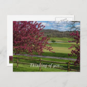 Spring Beauty bij Rivercut Briefkaart (Voorkant / Achterkant)