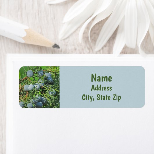 Spring Berry Photo Pine Tree Evergreen Branch Etiket (Insitu)
