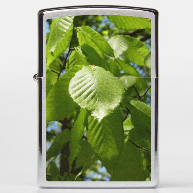 Spring Birch Leaves Green Tree (Voorkant)