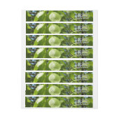 Spring Birch Leaves Green Tree (Vel)