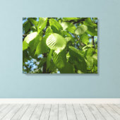 Spring Birch Leaves Green Tree Canvas Afdruk (Insitu (Houten vloer))