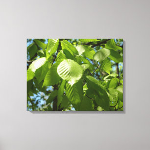 Spring Birch Leaves Green Tree Canvas Afdruk