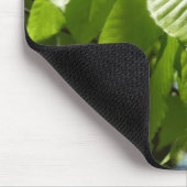 Spring Birch Leaves Green Tree Muismat (Hoek)