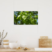 Spring Birch Leaves Green Tree Poster (Keuken)