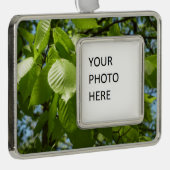 Spring Birch Leaves Green Tree Verzilverd Kader Ornament (Rechts)