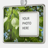 Spring Birch Leaves Green Tree Verzilverd Kader Ornament (Links)